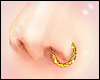 BLING| Gold Nose Rings