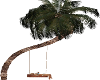 Animated Tropical Swing