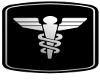 Medical Wall Emblem
