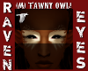(M) TAWNY OWL EYE!