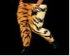 Tiger Sexy Pants F