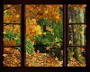 SN Autumn window
