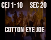 Cotton Eye Joe