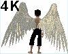 4K Gold Angel Wings