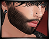 LS~FULL BEARD v2