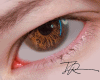 T. Eyes Brown