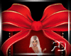 Christmas Gift Photo