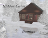 Hidden Christmas Cabin