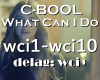 C-Bool What Can I Do
