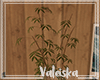 *VK*Bamboo plant