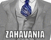 Z-  Charming Suit