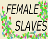 Female Slaves Sign