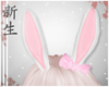 ☽ Easter Bunny Ear v1