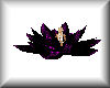 Purple/Black Lotus