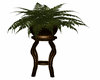 brown fern stand