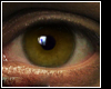 ᶻ Asteri Eyes 04