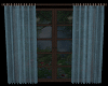 Forest Window