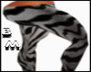 TDF|TIGER! ORANGE!