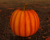 𝐼𝑧.Pumpkin'