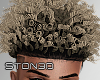 Blonde Curly Taper '18