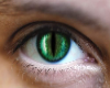 Kassim's Cat Eye