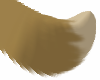 Eevee Tail