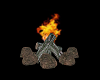 RBDC Campfire V2