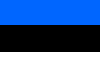 Hand Held Estonia Flag