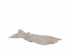 Crumpled towel
