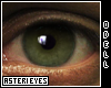 [AYI] Asteri Eyes #003