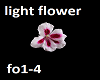 light flower 