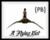{PB}A Flying Riding Bat