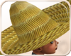 !NC Mexican Sombrero Hat