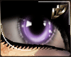 ~DD~ Purple Shimmer Eye
