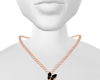 Collar 2 VanCf But Black