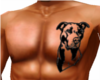 Pitbull chest tattoo