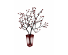 LSA  love you plant