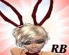 [rb]blood-red bunny