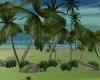 GP*Palm Trees w Rocks