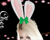 st patrick bunny ears