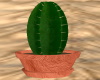 [CI]Potted Cactus 1