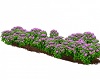 Pink Flowers Flower Bed