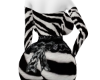 CORSET ZEBRA LLXL