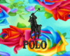 polo rainbow rose bed