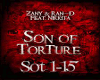 (sins) son of torture