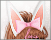 🌙🐰 Cute Bunny Ears
