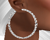 Diamonds Hoop Earrings