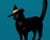 Witch Cat Pet Bestie