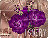 [Is] Roses Purple Left