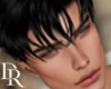 DR- Albert black V2